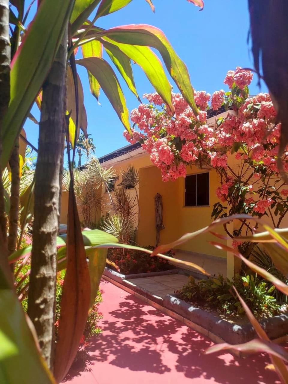 Hotel Porto Garden Porto Seguro Buitenkant foto