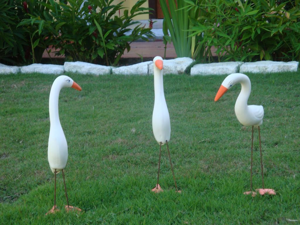 Hotel Porto Garden Porto Seguro Buitenkant foto